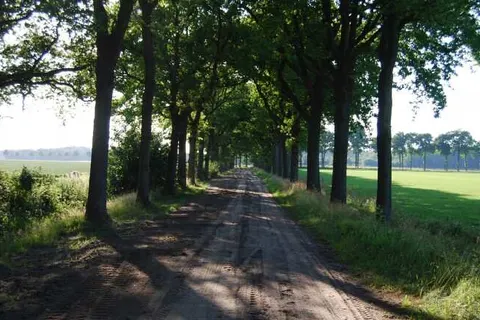 Hotel Restaurant Bitter en Zoet foto 17