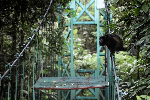 Costa Rica coast to coast in Costa Rica — foto 10