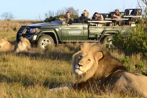 Explore the Garden Route & Beyond foto 5