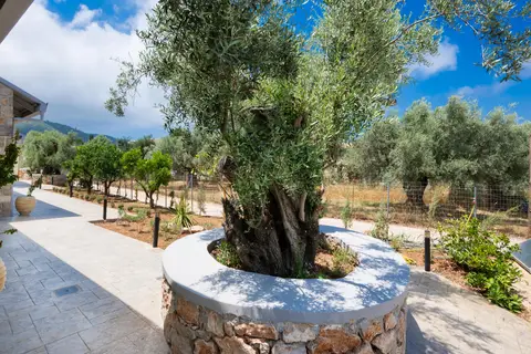 My Citrus Retreat in Δημοτική Ενότητα Λευκάδος — foto 20