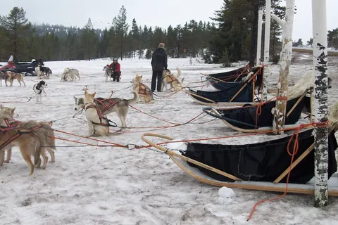 Johannisholm Adventure foto 9