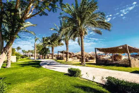 Suneo Soma Beach in سفاجا — foto 9