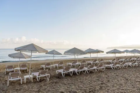 Zeus Hotels Palm Beach in Δημοτική Ενότητα Μαλίων — foto 15