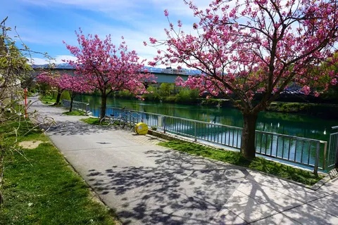 8 dg fietsreis Karinthië StJacob Rosentalerhof foto 5
