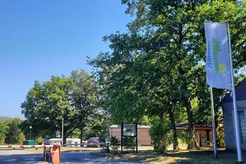 Verblijfpark Ardinam foto 27