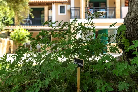 Small Village in Zakynthos Municipal Unit — foto 10