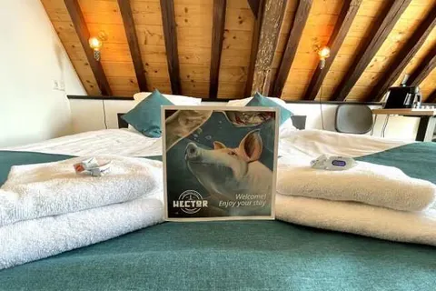 Hotel Hector Zierikzee foto 5