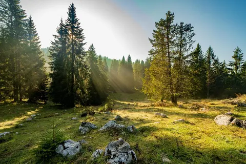 Camping Ekar Asiago foto 2