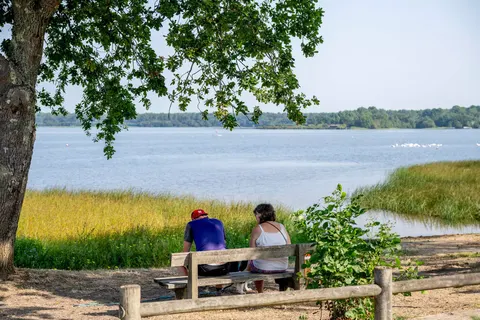 Camping Rivages Des Landes foto 26