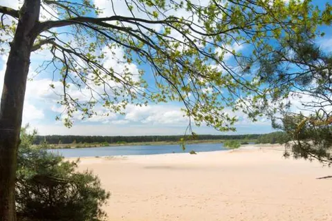 Camping de Binnenvaart foto 12