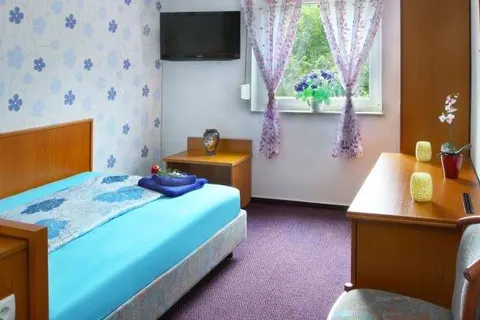 Hotel im Rheintal foto 9