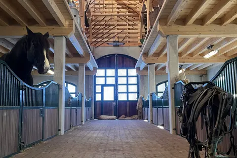 Camping Fuussekaul foto 6