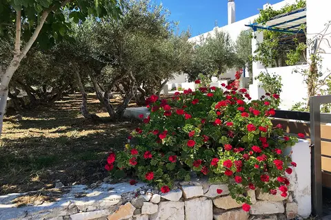 Amaryllis Paros Beach Hotel in Paros — foto 20