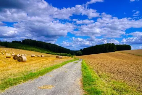 Hotel des Postes foto 16