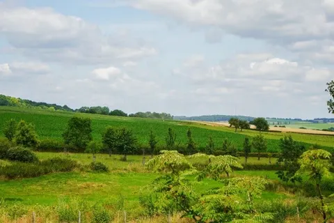 Hotel Eperland foto 26