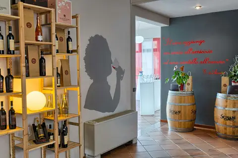 Valpolicella International in San Pietro In Cariano, foto 21