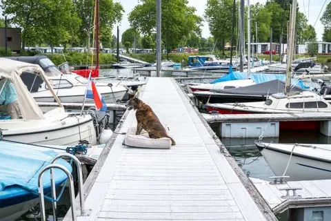 MarinaPark Bad Nederrijn foto 14