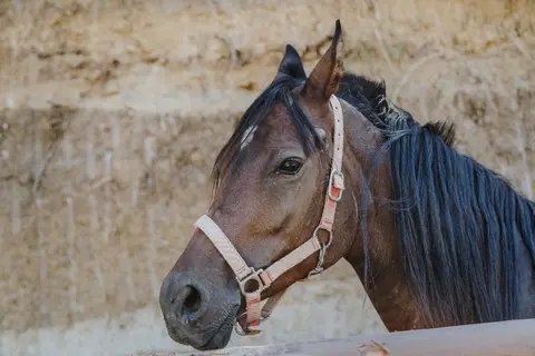 Tenute Leano in Piazza Armerina, foto 20