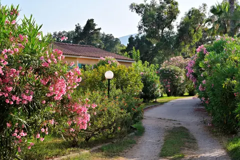 Vakantiepark Pinea Mare in Poggio-Mezzana — foto 6