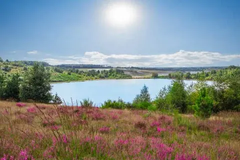 M Hotel - Different Hotels in Genk — foto 11