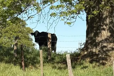 Maison du Golf au Mergelhof in Blieberg, foto 15