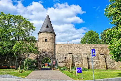 Romantische Rijn in Rijn — foto 8