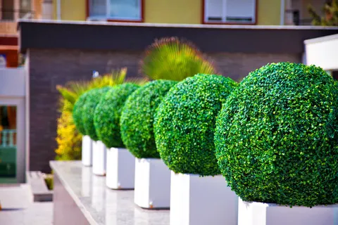 Green Garden Suite foto 28