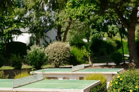 Camping Haliotis foto 8