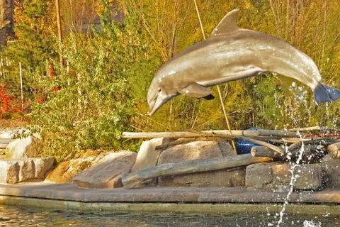 Landhotel Seerose foto 13