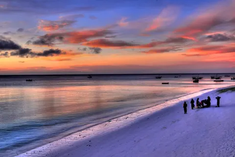 12 daagse safari Selous & Zanzibar foto 1