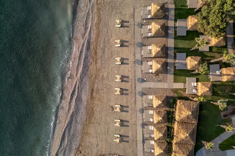 Balmy Foresta foto 5