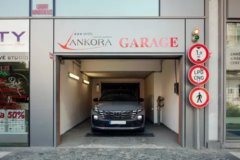 Hotel Ankora Prague in Praag, foto 10