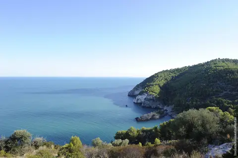 Pugnochiuso Resort - Hotel Degli Ulivi in Vieste, foto 8