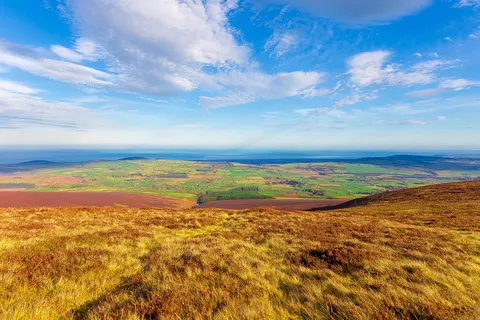 8 daagse wandelreis Ierland Wicklow Way in Dublin — foto 5