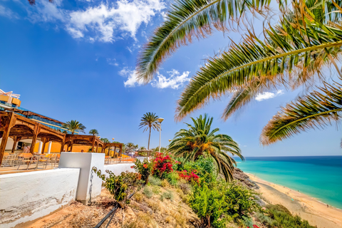 Hotel SBH Club Paraiso Playa foto 28