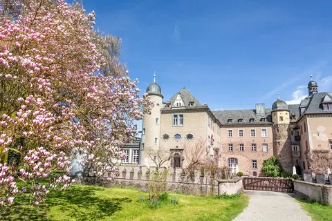 De Rijn en een vleugje Moezel met mps Rembrandt van Rijn foto 8