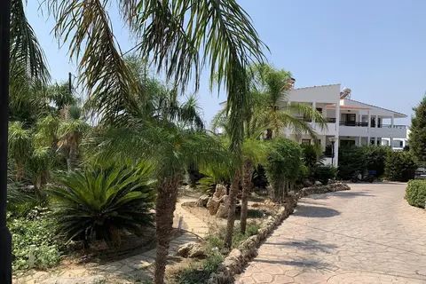 Coliseum Studios & Apartments in Πεύκοι — foto 3