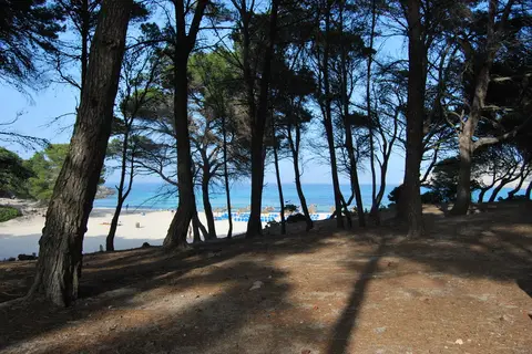 Hotel Can Moragues Healthy & Wellness in Artà, foto 28