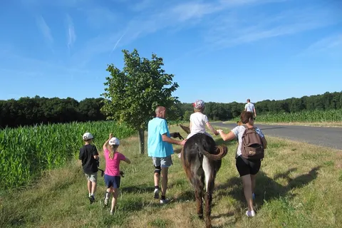 Camping Ferme Pédagogique De Prunay foto 4