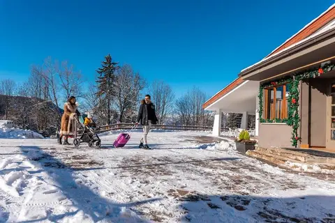 Casa Alpina in Folgaria — foto 4
