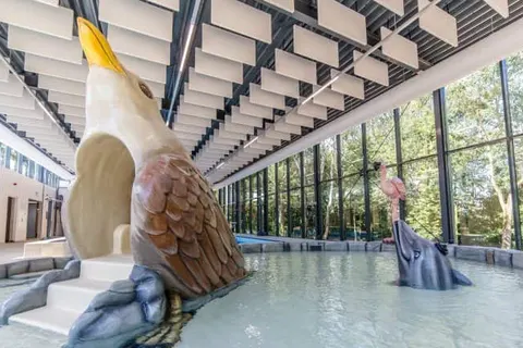 Dormio Resort Maastricht foto 17