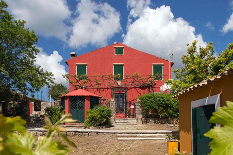 Fundana Villas foto 2