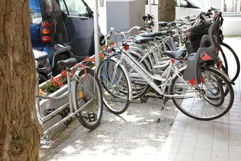 International in Rome — foto 17