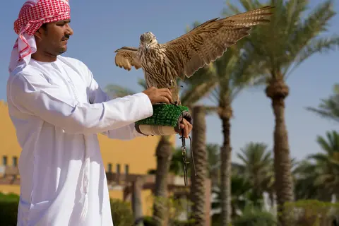 Aldhafra Resort, Vignette Collection in Madinat Zayed, foto 3