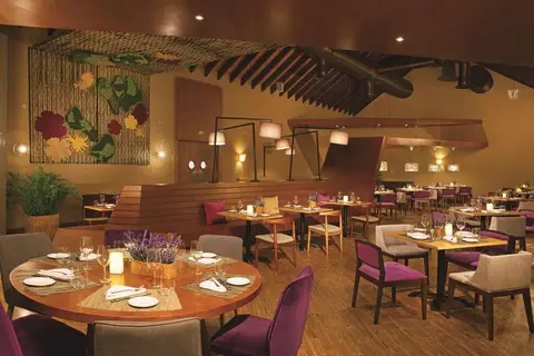 Dreams Onyx Resort & Spa in Punta Cana, foto 16