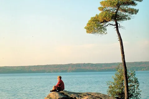 Great Parks of the East foto 7