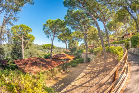 Vakantiepark Colombo foto 30