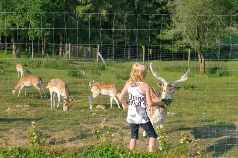 Camping Vestbirk in Østbirk — foto 19