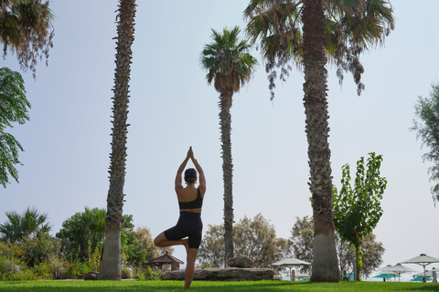 Hotel Esperos Village - adults only foto 11