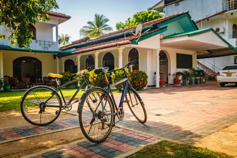 Rondreis Hoogtepunten van Sri Lanka foto 18